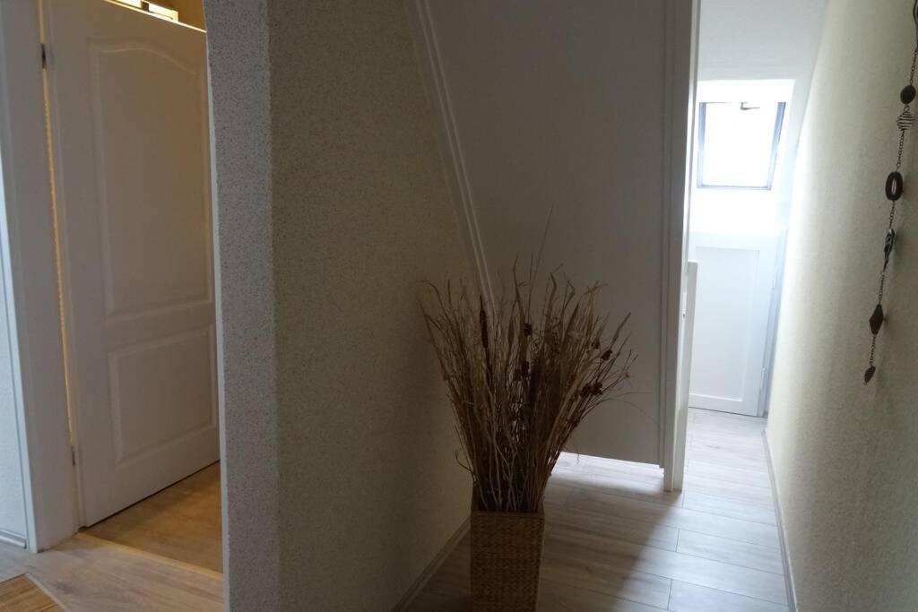 Ferienwohnung Ca 110 Qm Zzgl 17 Qm Terrasse Hannover Bagian luar foto